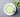 Crafting The Perfect Hot Matcha Latte