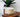 Honey Genmaicha Latte - Full Leaf Tea Company