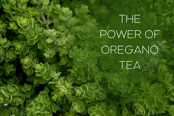 The Power of Oregano Tea 🌿 - Full Leaf Tea Company