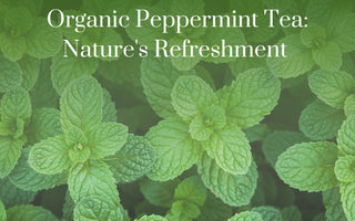 Organic Peppermint Tea: Nature's Refreshment 🍃 - Full Leaf Tea Company