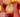 Heart Health Tea Mocktail cover photo