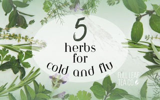 5 Herbs for Cold and Flu - Full Leaf Tea Company