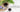 Elderberry Tea: Benefits for Immunity and Cold Relief - Full Leaf Tea Company