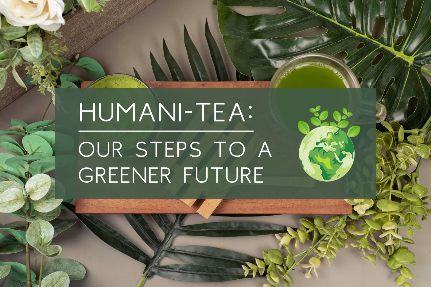Humani-Tea: Our steps to a greener future