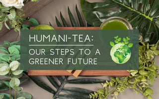 Humani-Tea: Our steps to a greener future