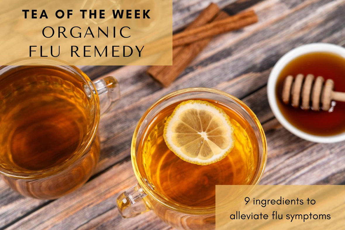 Organic Flu Remedy š¤ | Tea of the Week - Full Leaf Tea Company