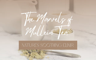 The Marvels of Mullein Tea: Nature's Soothing Elixir - Full Leaf Tea Company