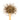 Wooden spoon of Organic Anise Seeds on a white background.