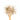 Wooden spoon of Organic Ashwagandha Root on a white background.