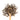 Wooden spoon of Organic Black Cohosh on a white background.