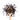 Wooden spoon of Organic Black Pepper on a white background.