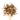 Wooden spoon of Organic Burdock Root on a white background.