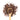 Wooden spoon of Organic Cacao Nibs on a white background.
