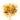 Wooden spoon of Organic Calendula on a white background.