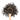 Wooden spoon of Organic Ceylon on a white background.