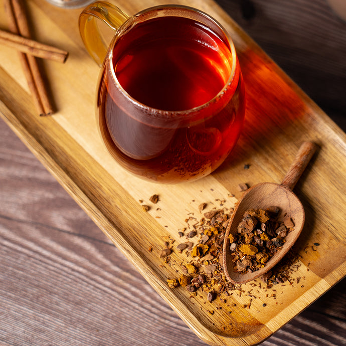 Glass mug of red liquid on a wooden tray with chaga mushroom and cinnamon sticks.