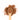 Wooden spoon of Organic Cocoa Powder on a white background.