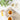 Two cups of constipation relief tea on a textured surface with herbs and spices around