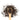Wooden spoon of Organic Darjeeling on a white background.