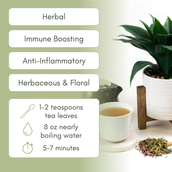 An Infographic description for Organic Echinacea Tea.
