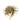 Wooden spoon of Organic Echinacea on a white background.
