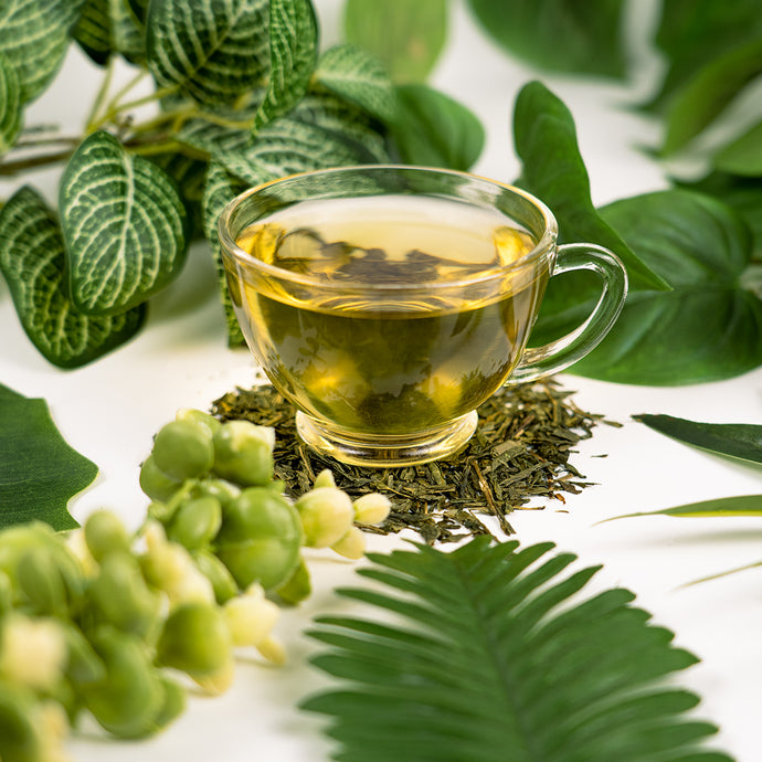 Clear glass cup of green tea surrounded by green leaves and plants on a white background