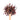 Wooden spoon of Organic Hibiscus on a white background.