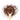 Wooden spoon of Organic Honeybush on a white background.