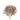 Wooden spoon of Organic Lavender on a white background.