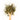 Wooden spoon of Organic Lemon Myrtle loose leaf tea on a white background.
