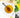 Lemon Turmeric Floral Flatlay.jpg__PID:d3a99a8d-bb26-45a5-8682-3e6034938404