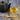 Black teapot, glass cup with tea, dried herbs, and wooden spoon on a wooden board.