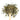 Wooden spoon of Organic Lung Ching on a white background.