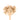 Wooden spoon of Organic Marshmallow Root on a white background.