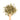 Wooden spoon of Organic Passion Flower on a white background.