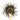 Wooden spoon of Organic Pu-Ehr on a white background.