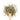 Wooden spoon of Organic Red Clover on a white background.