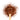Wooden spoon of Organic Rooibos on a white background.