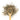 Wooden spoon of Organic Sage on a white background.