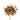 Wooden spoon of Organic Saw Palmetto on a white background.