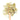Wooden spoon of Organic Senna Leaf on a white background.