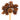 Wooden spoon of Organic Star Anise on a white background.