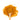 Wooden spoon of Organic Turmeric on a white background.