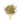 Wooden spoon of Organic Yerba Mate on a white background.
