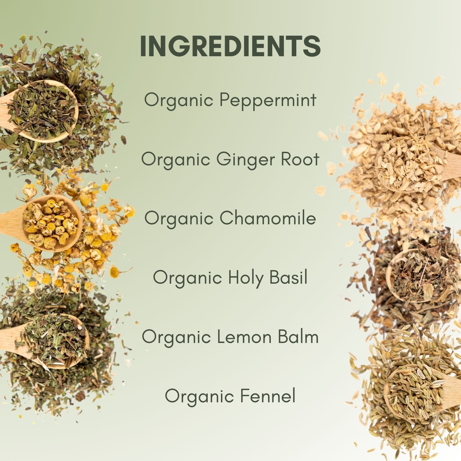 Organic Bloat Relief Tea