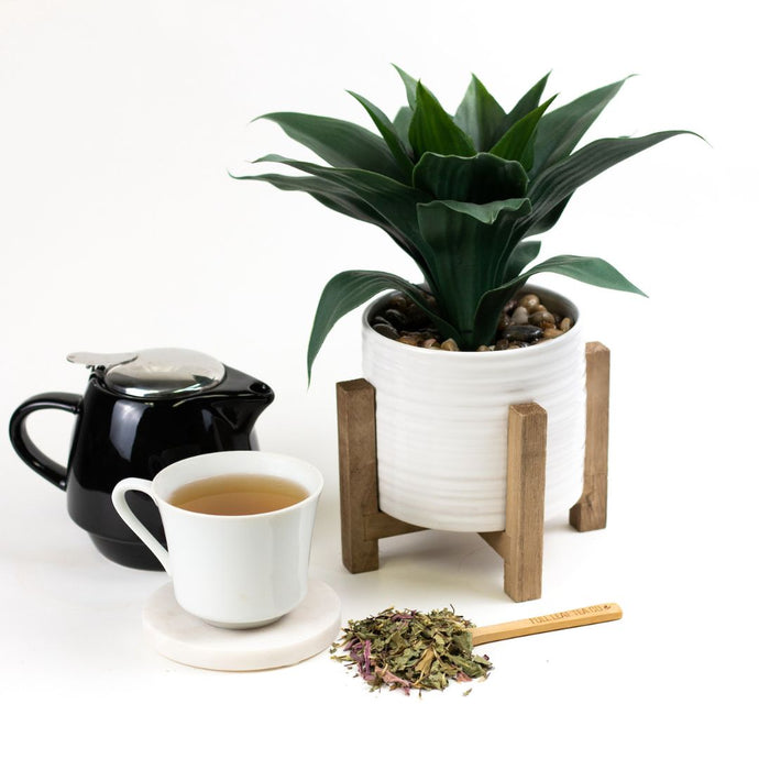 Tea set with a cup, teapot, and dried echinacea next to a potted plant on a white background
