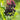Cluster of black berries with red stems on a green leafy background