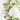 White teapot and cup with tea, surrounded by green leaves and flowers on a light background