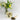 Glass cup of Organic Raspberry Leaf tea with a tea bag and loose leaves beside it, placed in front of a jar of fresh yellow and white flowers on a white background.