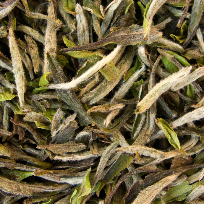 Close-up of loose leaf white tea, showing soft, silvery-white tea buds covered in fine downy hairs and light green leaves.